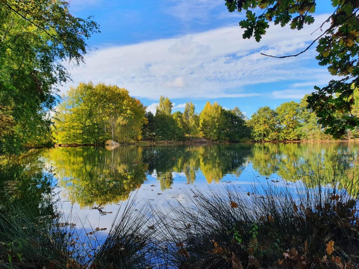 Ferienwohnung Am See Dillich - Eigener Garten - Ruhige Lage - Natur Vor Der Haustuer Borken  Exterior foto