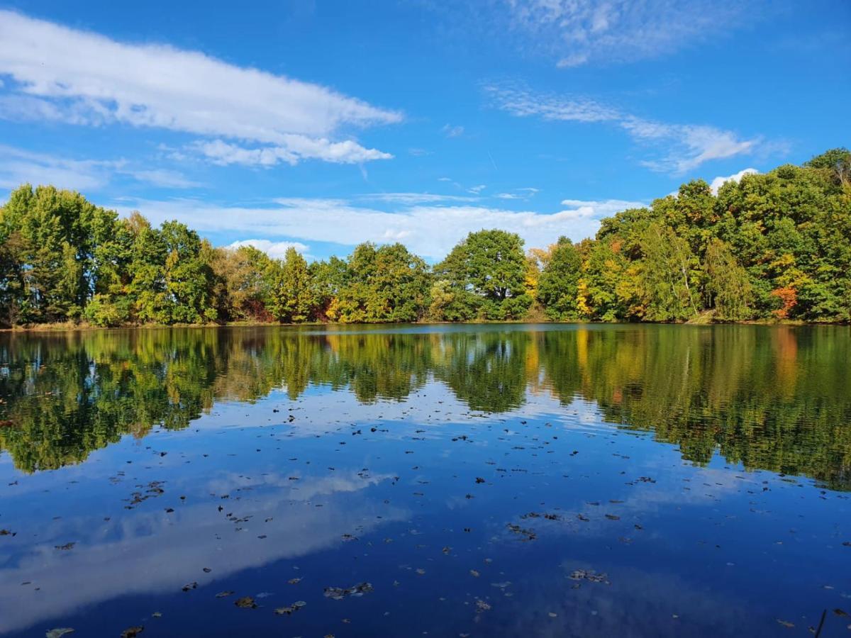 Ferienwohnung Am See Dillich - Eigener Garten - Ruhige Lage - Natur Vor Der Haustuer Borken  Exterior foto